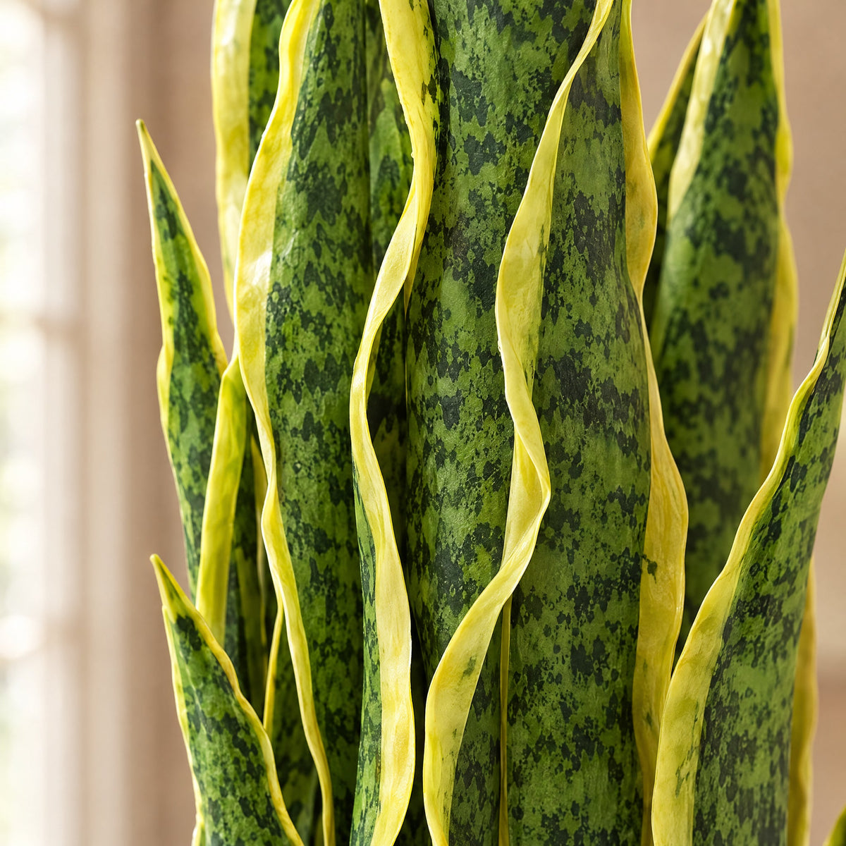 55cm Artificial Sansevieria Yellow Green Indoor Plant
