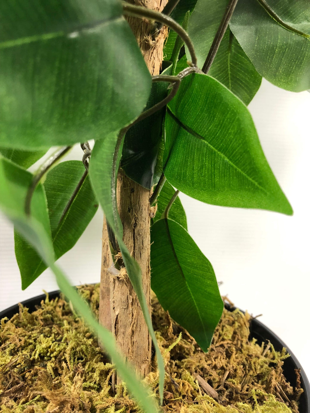 120cm Artificial Ficus Tree / Plant - Large Bushy Shape – image 11