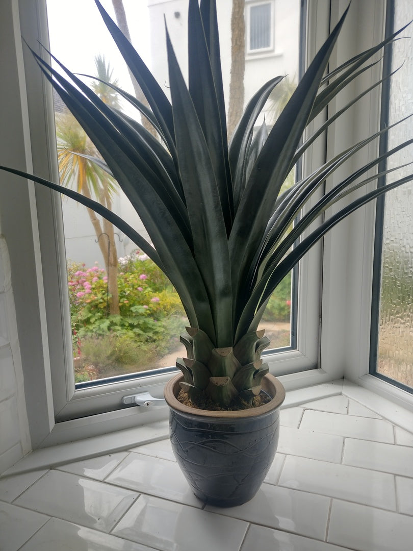 90cm (3ft) Artificial Yucca Plant - Large – image 6