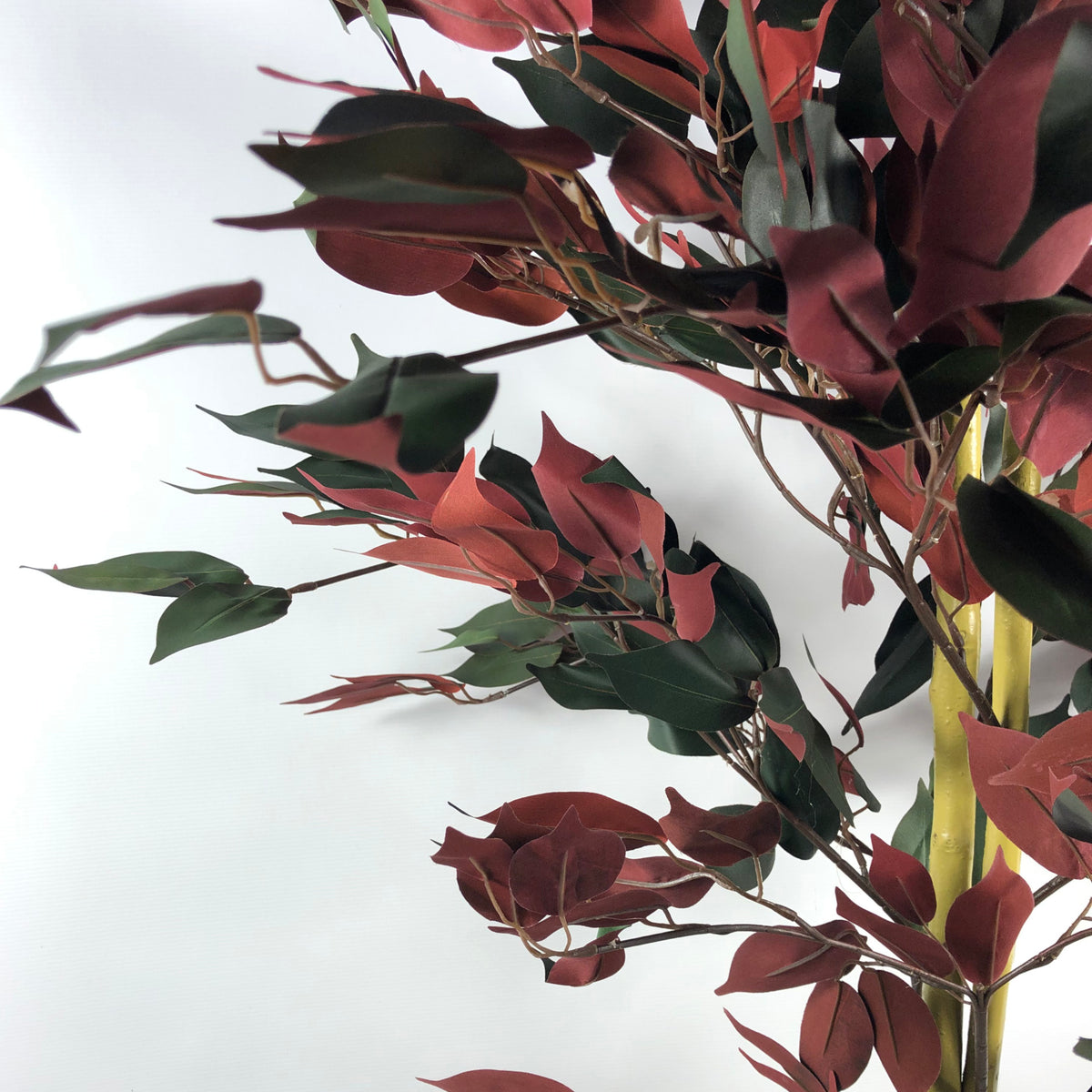 120cm (4ft) Artificial Capensia Red Ficus Tree Ficus Plant - Extra Large – image 4