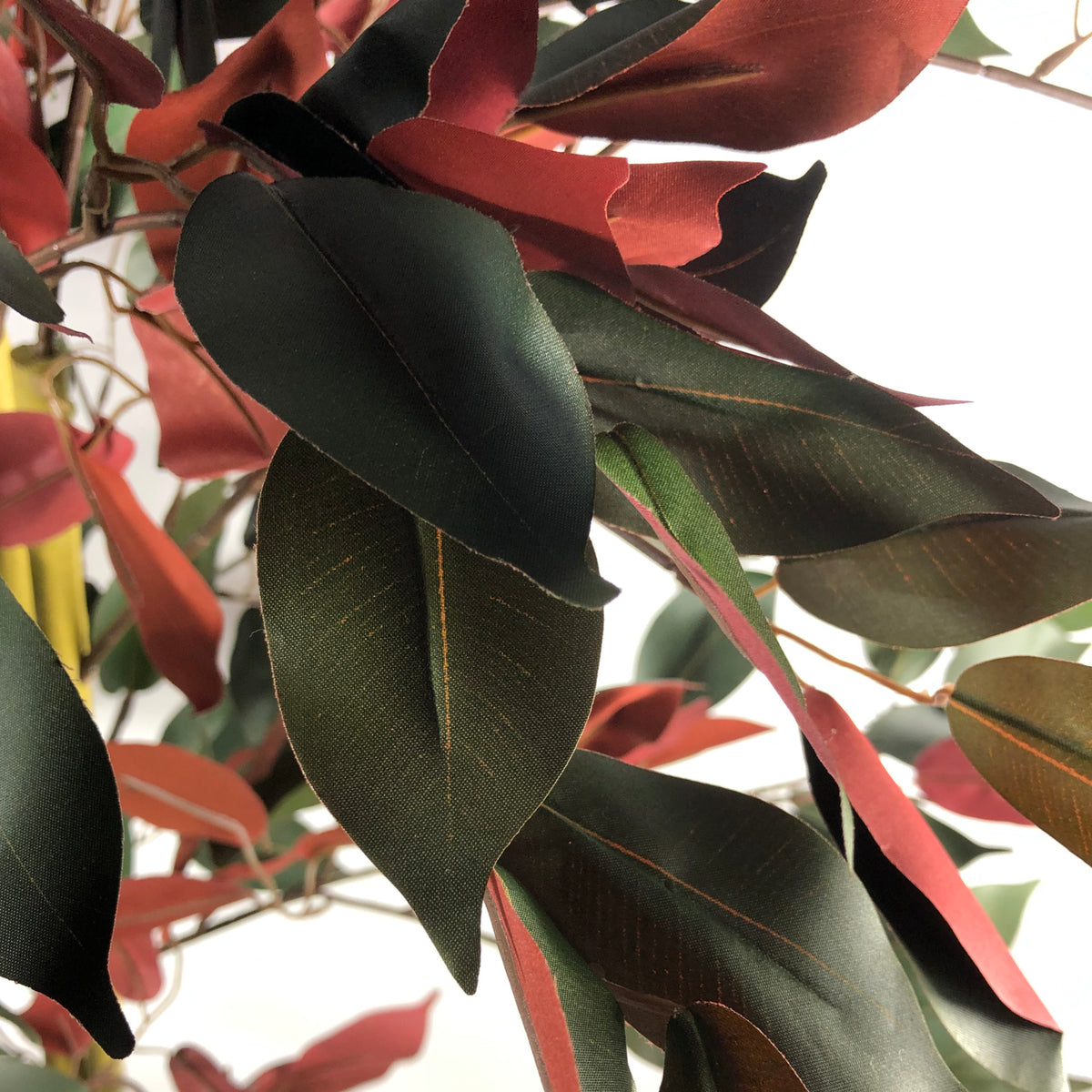 120cm (4ft) Artificial Capensia Red Ficus Tree Ficus Plant - Extra Large – image 7