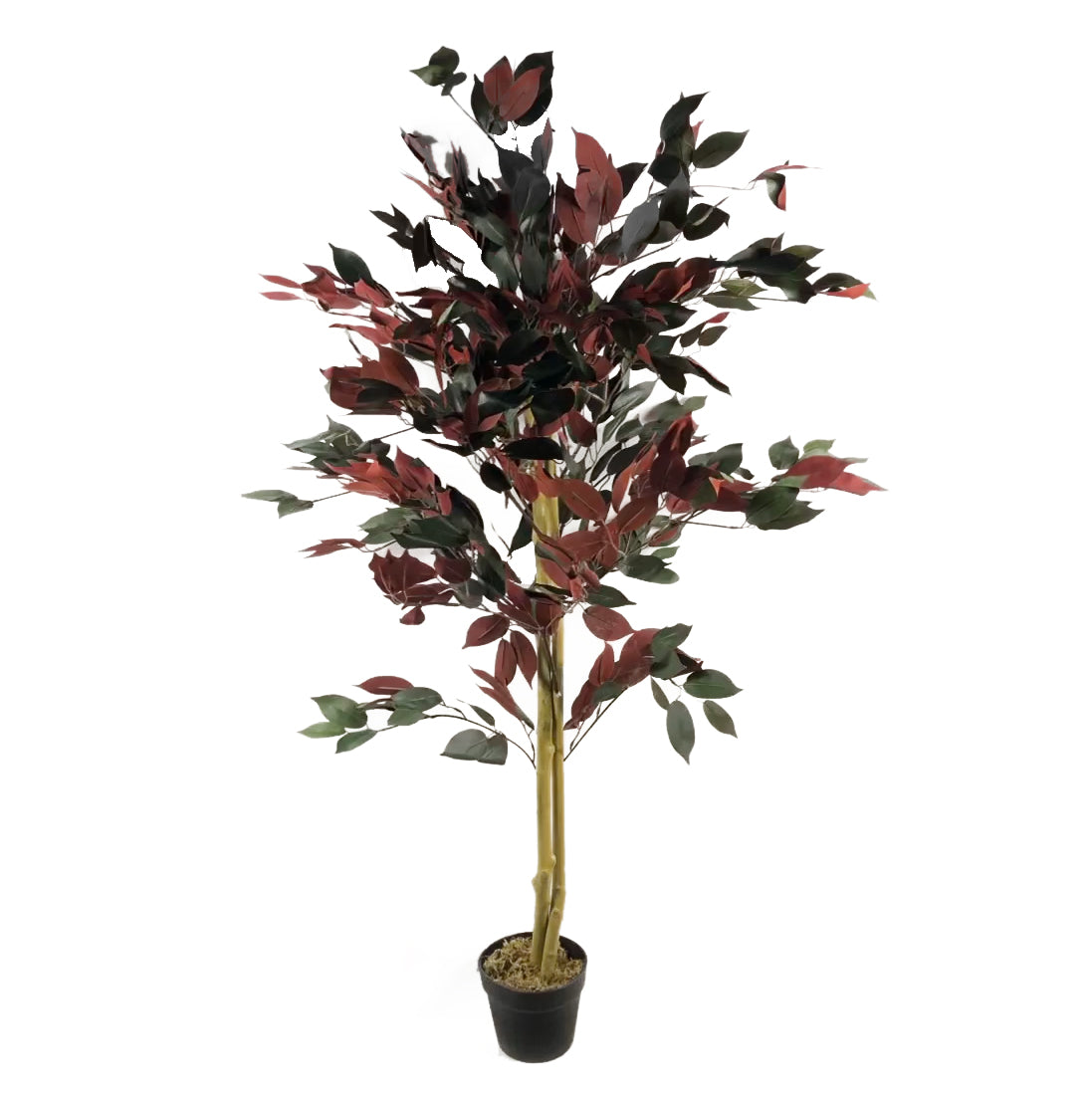 120cm (4ft) Artificial Capensia Red Ficus Tree Ficus Plant - Extra Large – image 5