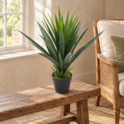 60cm Artificial Agave Succulent Yucca Style Green Plant