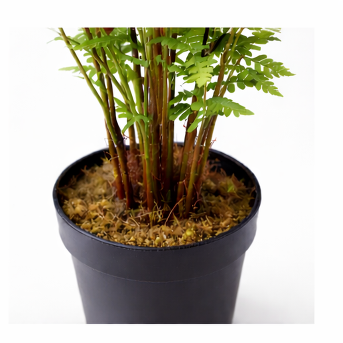 75cm Artificial Fern Plant – image 5