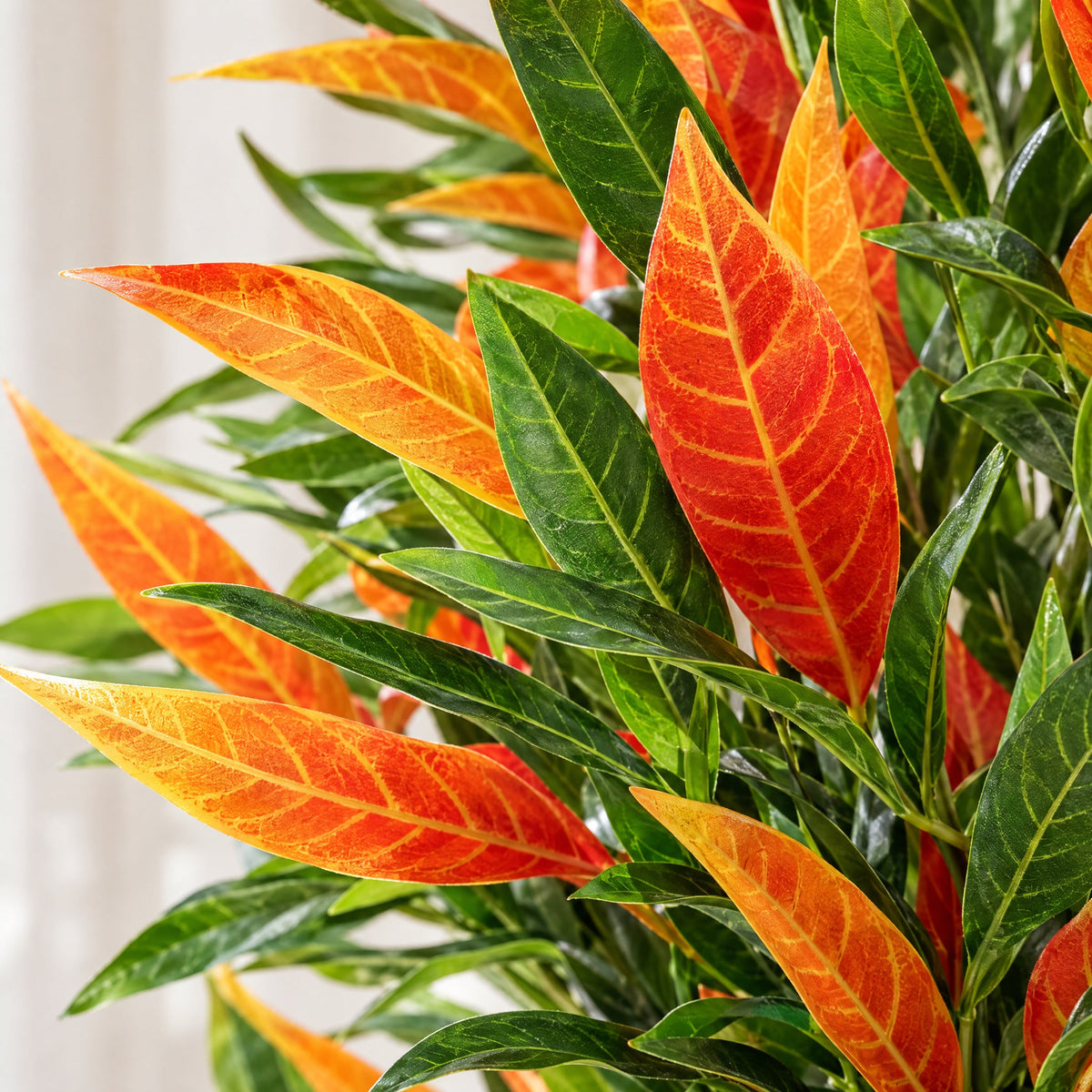 130cm Artificial Red & Green Ficus Tree