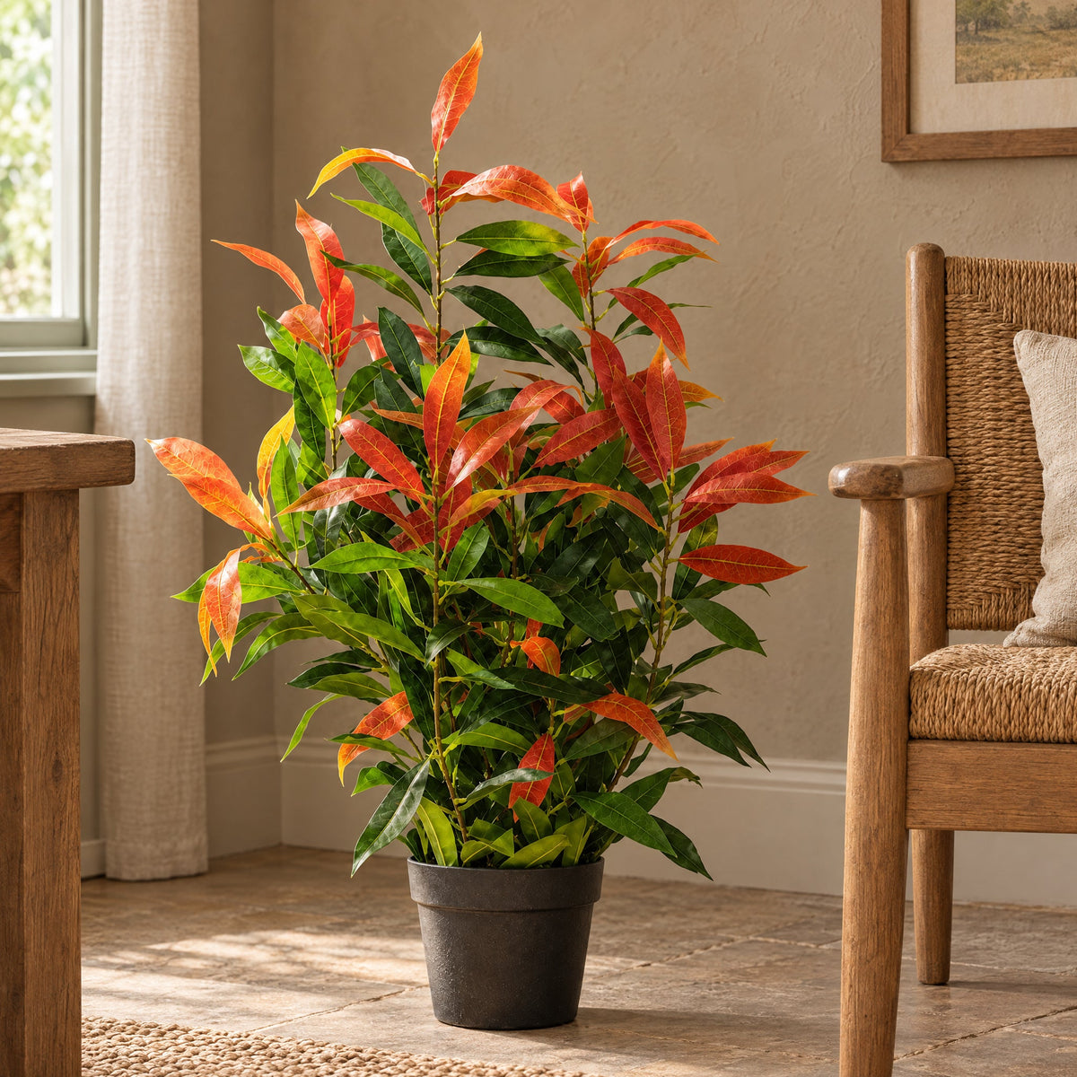 80cm Artificial Red and Green Ficus Plant