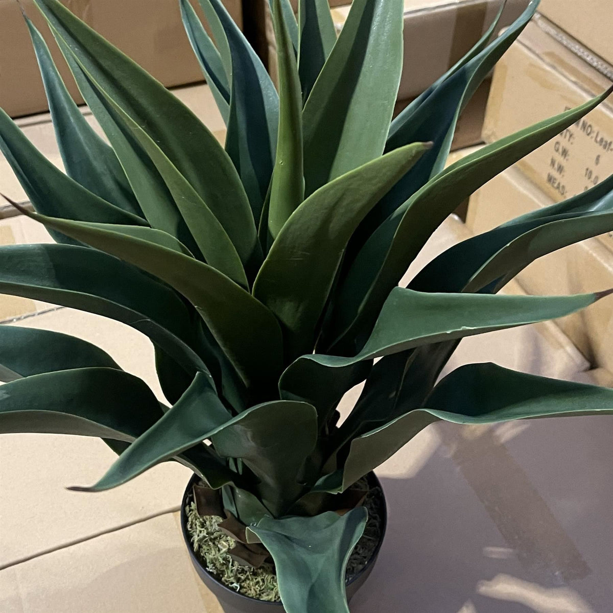 60cm Deluxe Yucca Artificial – image 5