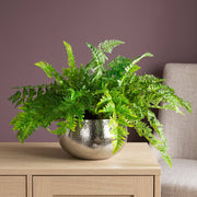 Large Artificial Ferns Display, XL Silver Bowl Planter 50x65cm