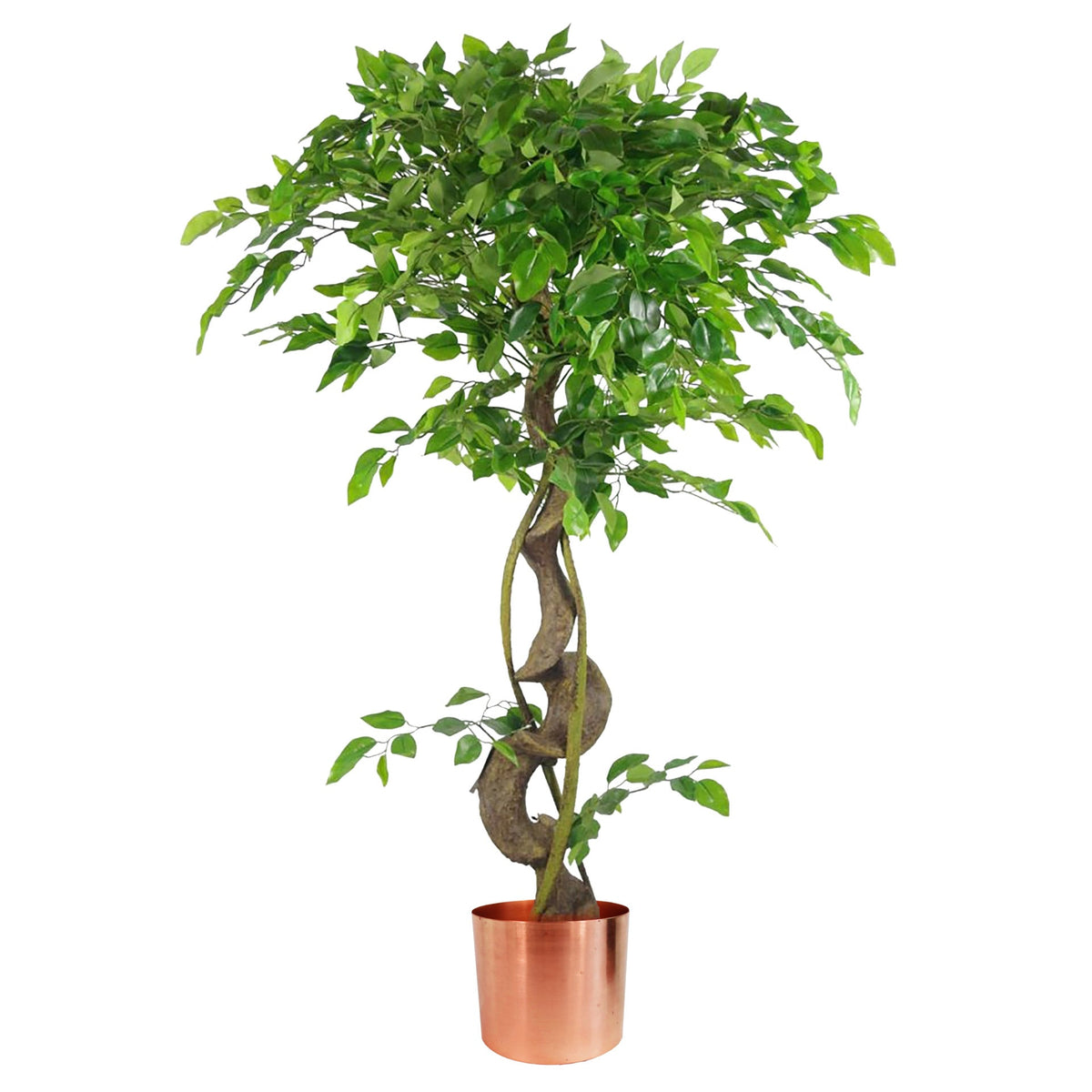 120cm Twisted Trunk Artificial Japanese Fruticosa Style Ficus Tree – image 3