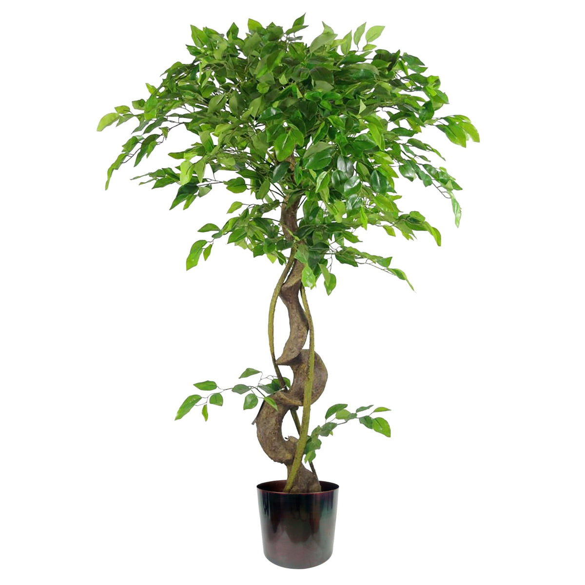120cm Twisted Trunk Artificial Japanese Fruticosa Style Ficus Tree – image 6