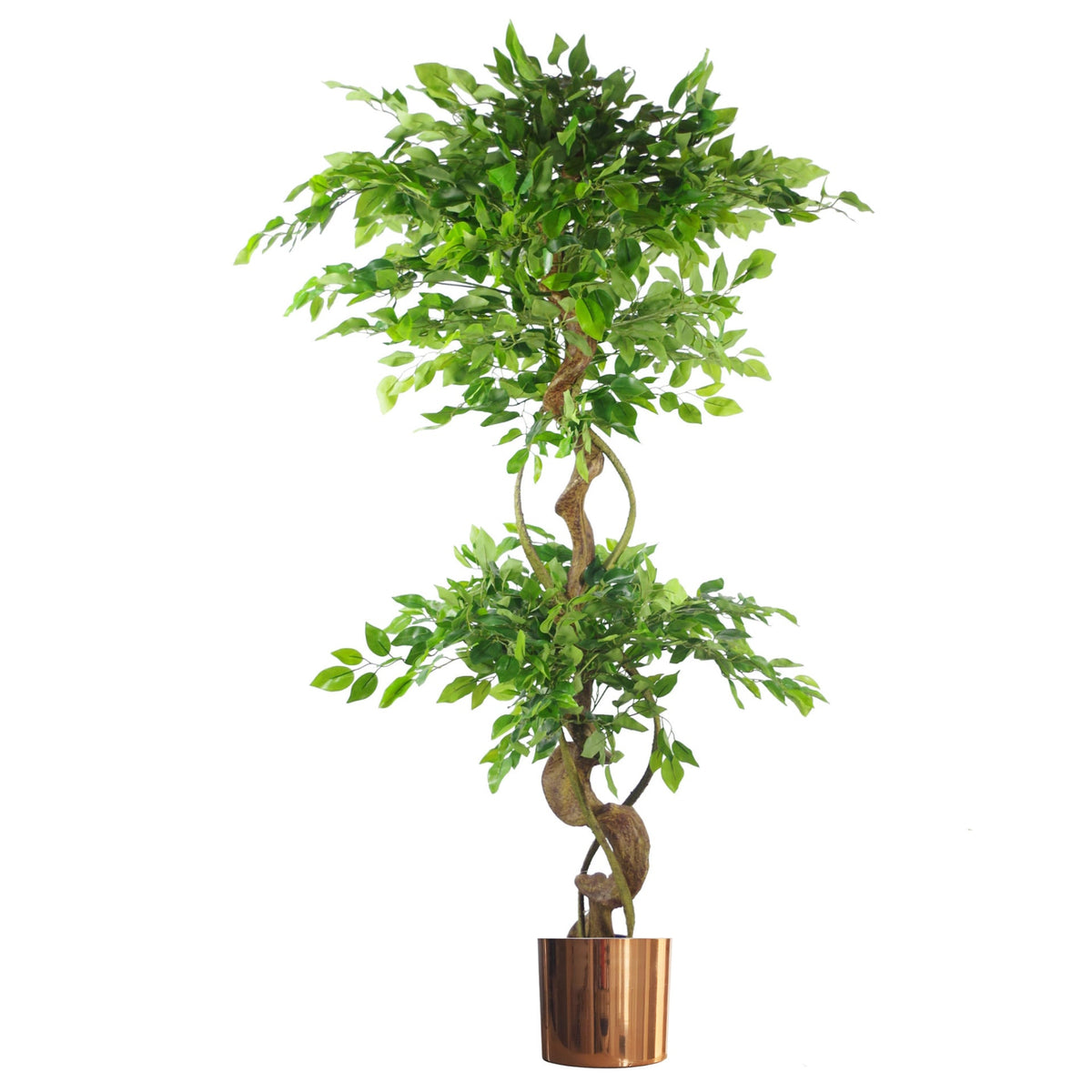 150cm Twisted Trunk Artificial Japanese Fruticosa Style Ficus Tree – image 5