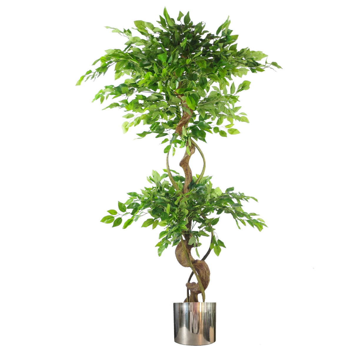 150cm Twisted Trunk Artificial Japanese Fruticosa Style Ficus Tree – image 3