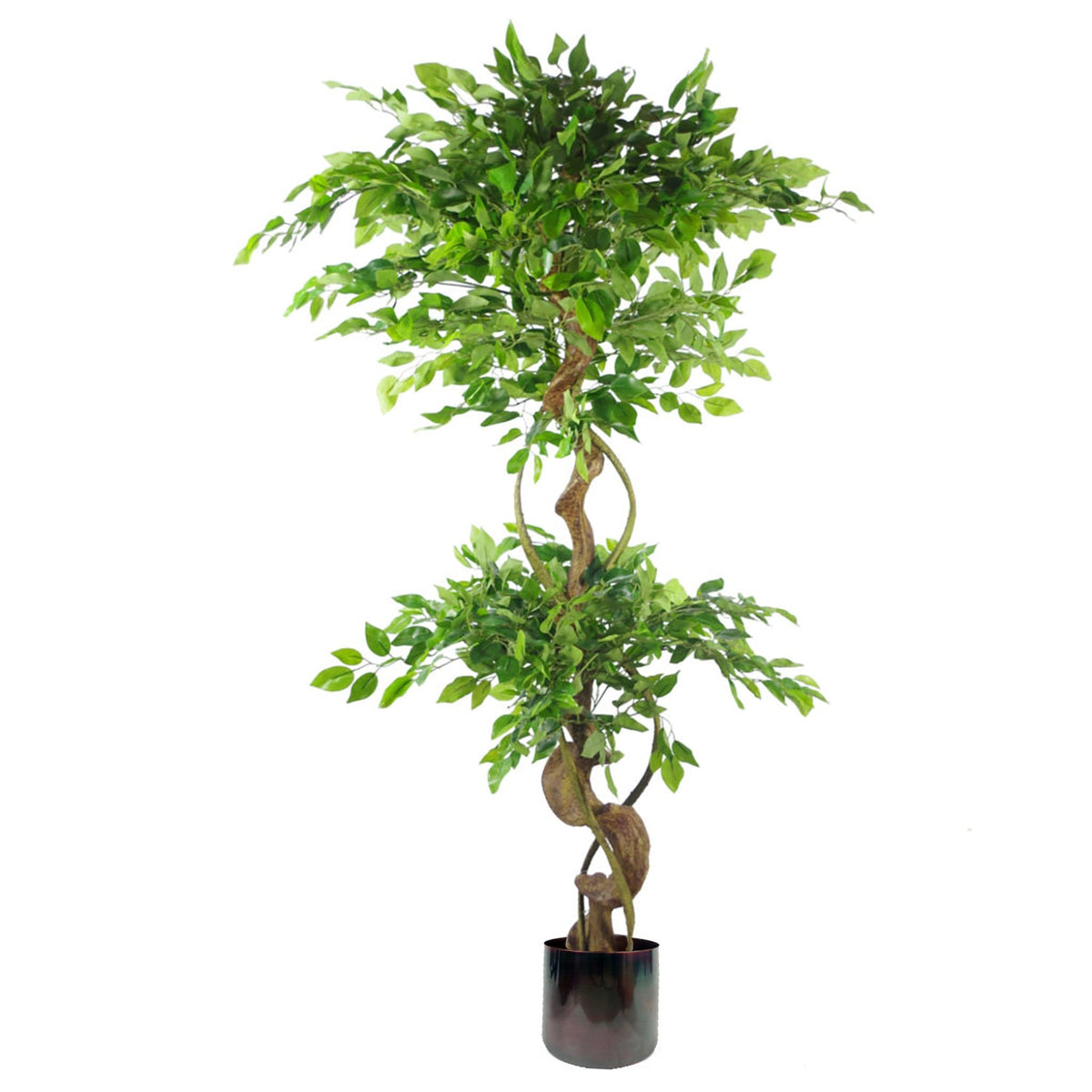 150cm Twisted Trunk Artificial Japanese Fruticosa Style Ficus Tree – image 8