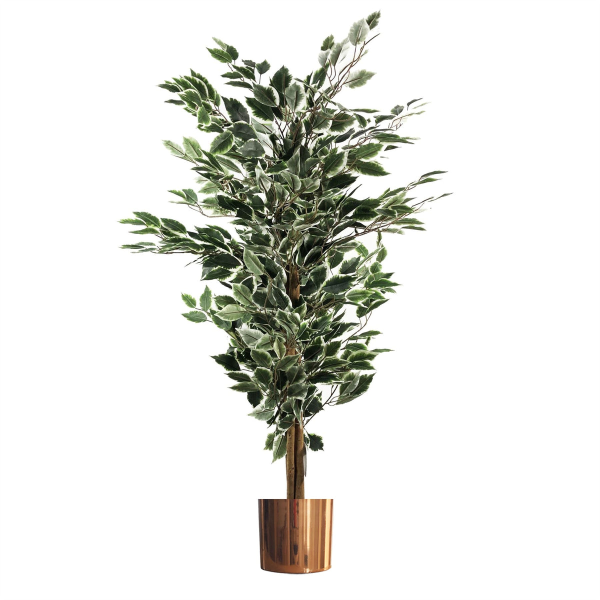 130cm Artificial Variegated White/Green Bushy Ficus Tree – image 3