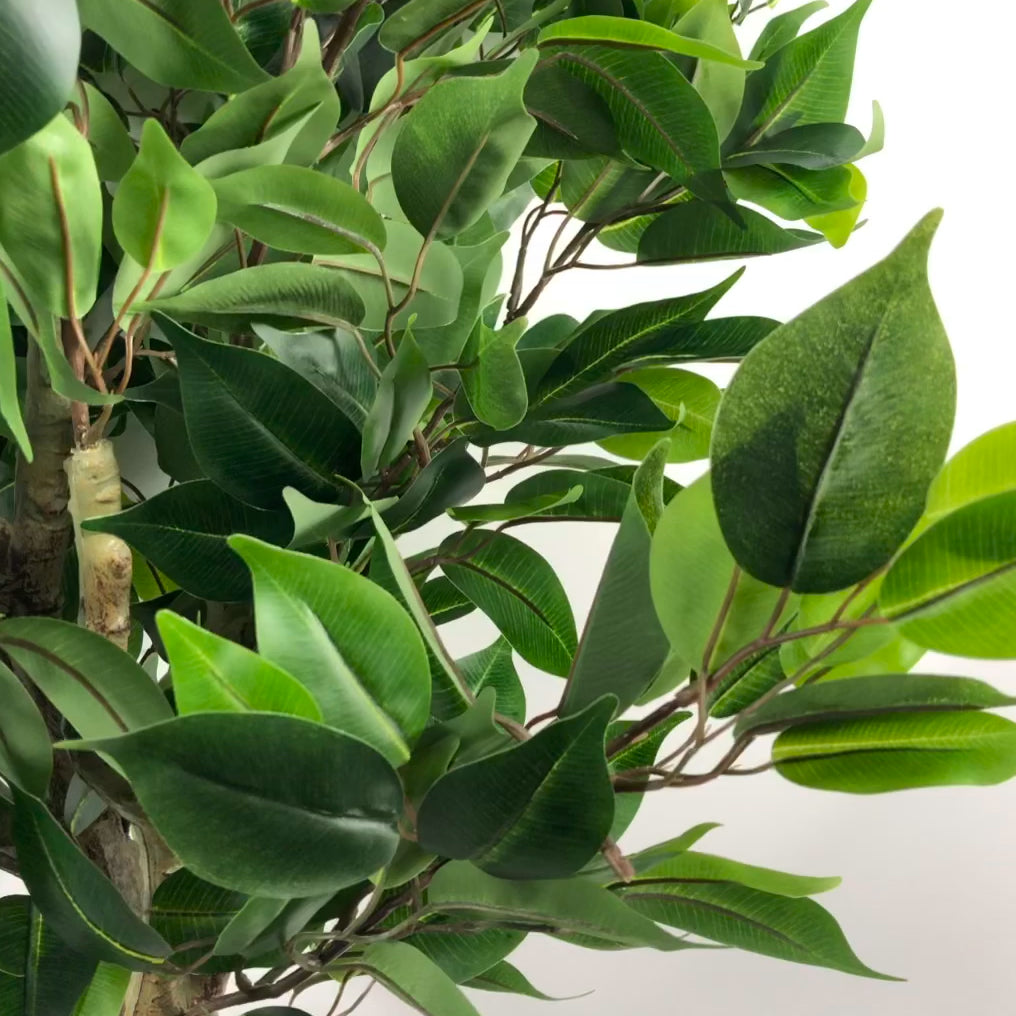 110cm Artificial Evergreen Ficus Tree – image 11