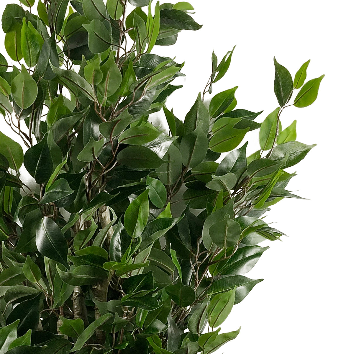 110cm Artificial Evergreen Ficus Tree – image 10