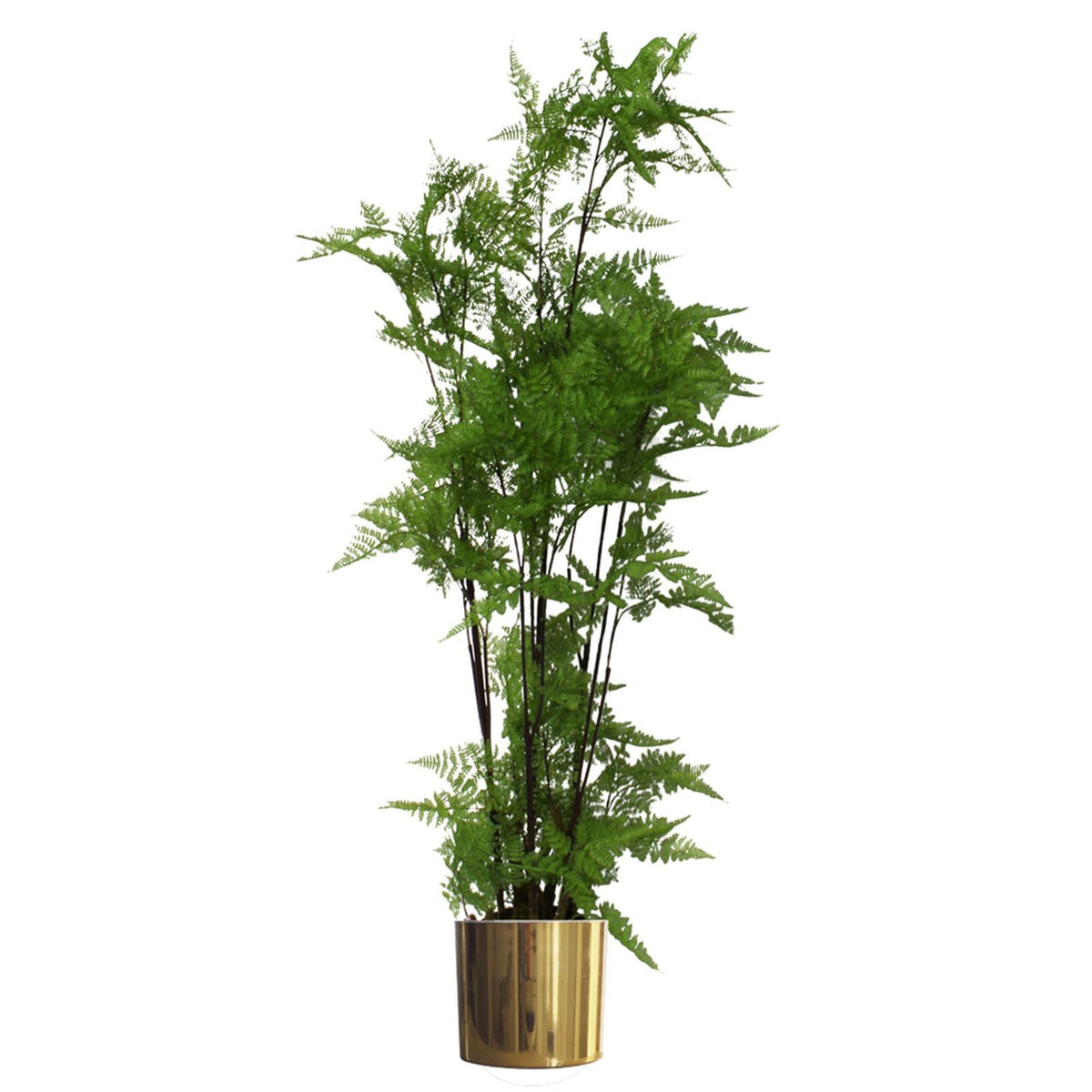 150cm Artificial Natural Moss Base Fern Foliage Plant – image 5