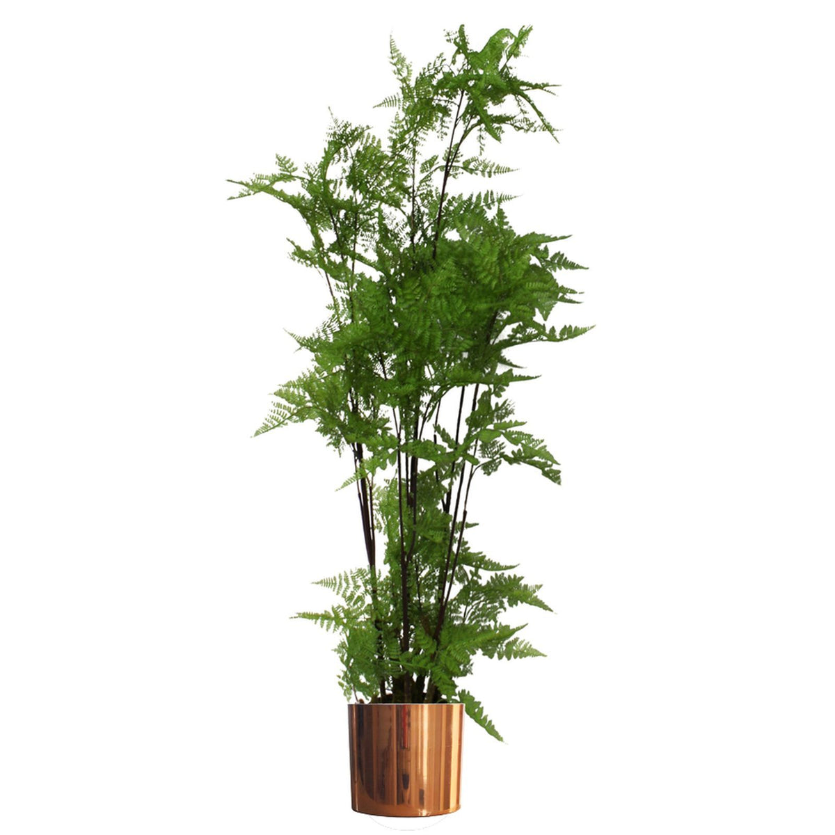 150cm Artificial Natural Moss Base Fern Foliage Plant – image 2