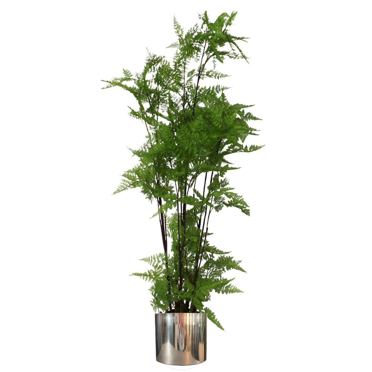 150cm Artificial Natural Moss Base Fern Foliage Plant – image 6