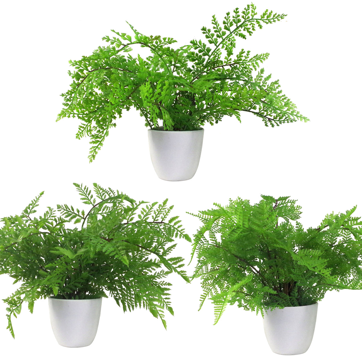Pack of 3 x 30cm Artificial Ferns - Southern Wood - Lady and Royal - Potted – image 2