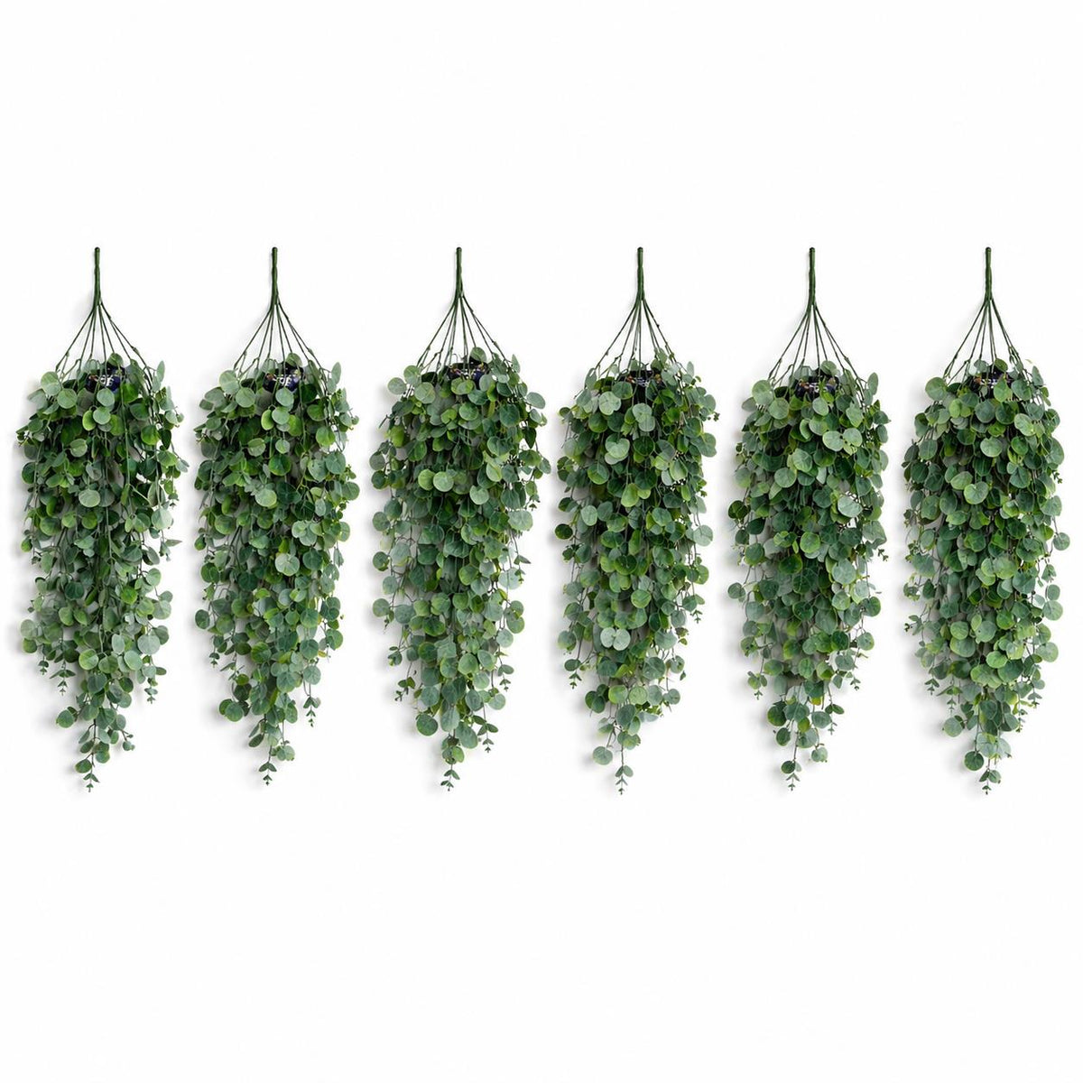 75cm Artificial Trailing Round Leaf Hanging Foliage Plant - Soft Eucalyptus Green - Pack of 6