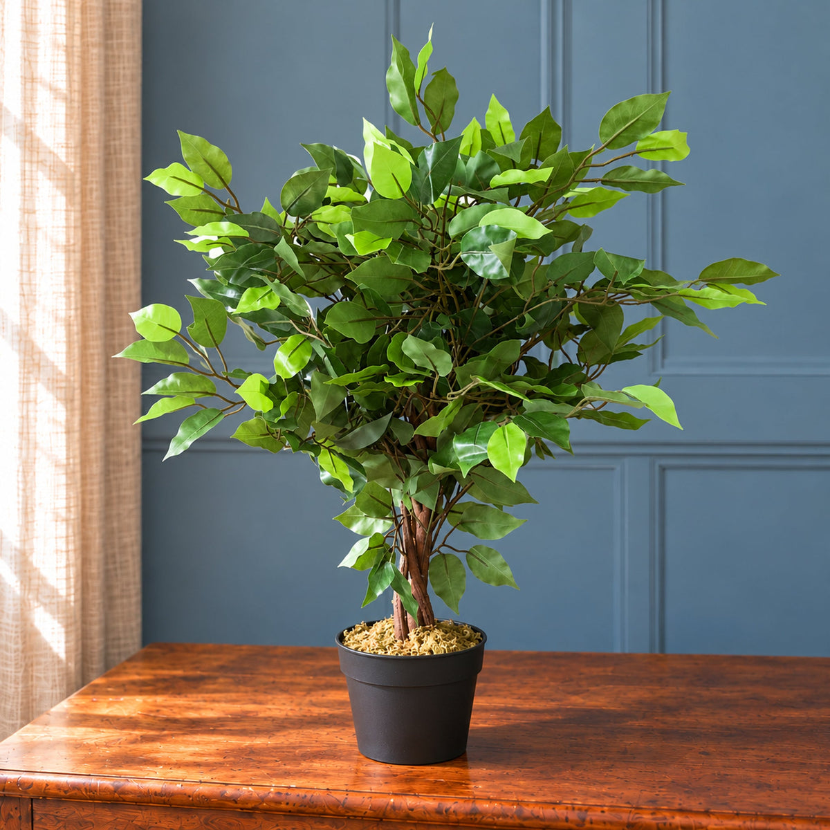 60cm Artificial Ficus Tree / Plant - Large Bushy Shape