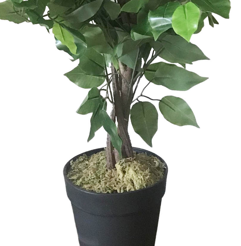 60cm Artificial Ficus Tree / Plant - Large Bushy Shape – image 6