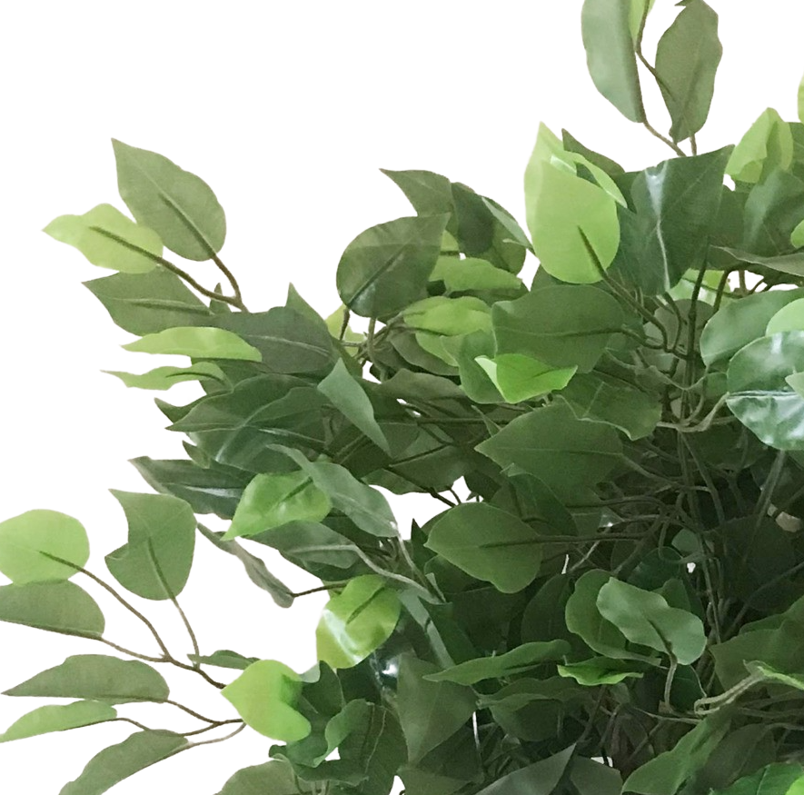 60cm Artificial Ficus Tree / Plant - Large Bushy Shape – image 5