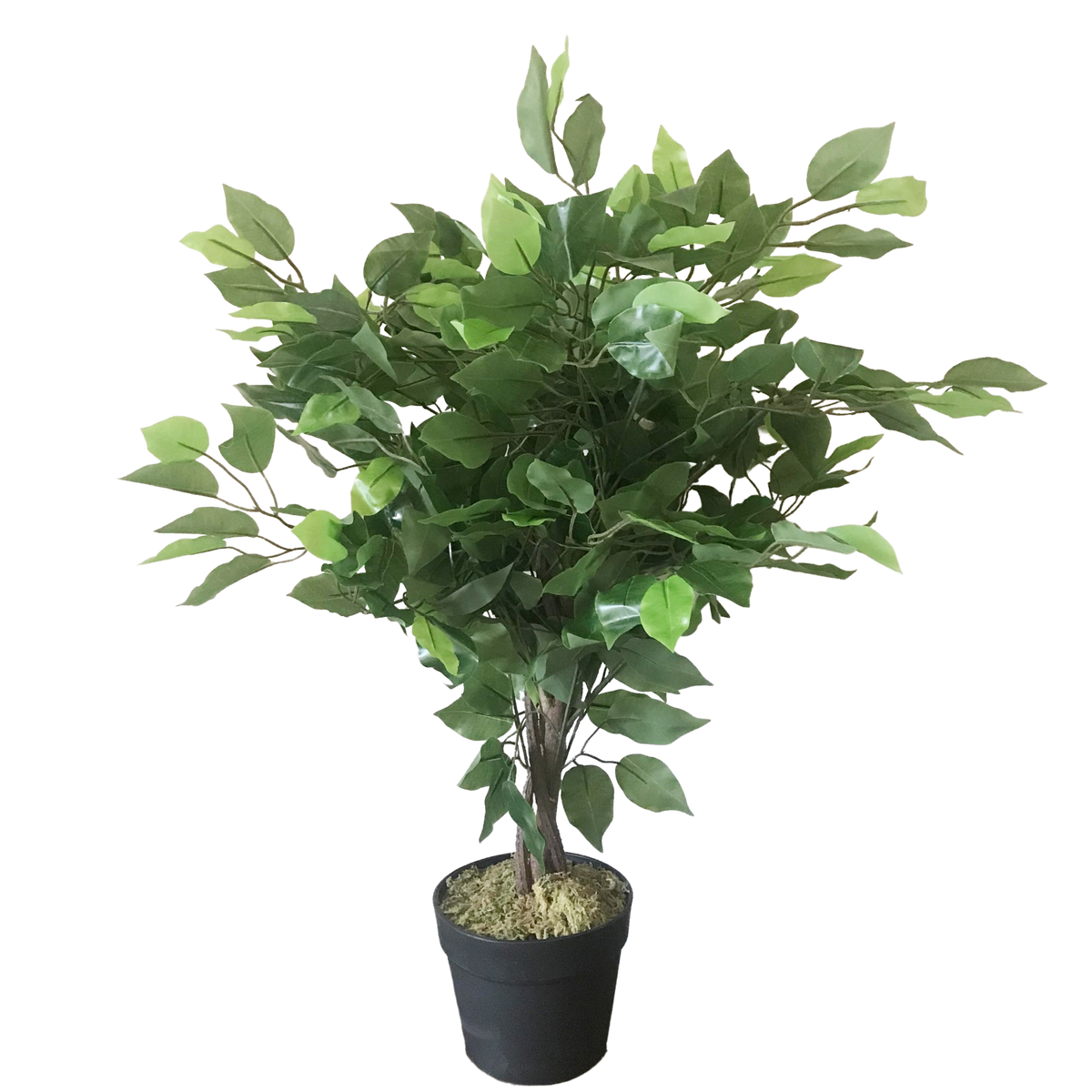 60cm Artificial Ficus Tree / Plant - Large Bushy Shape – image 2
