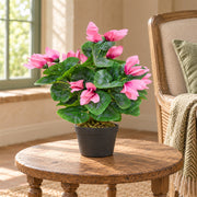 38cm Artificial Cyclamen Plant Pink