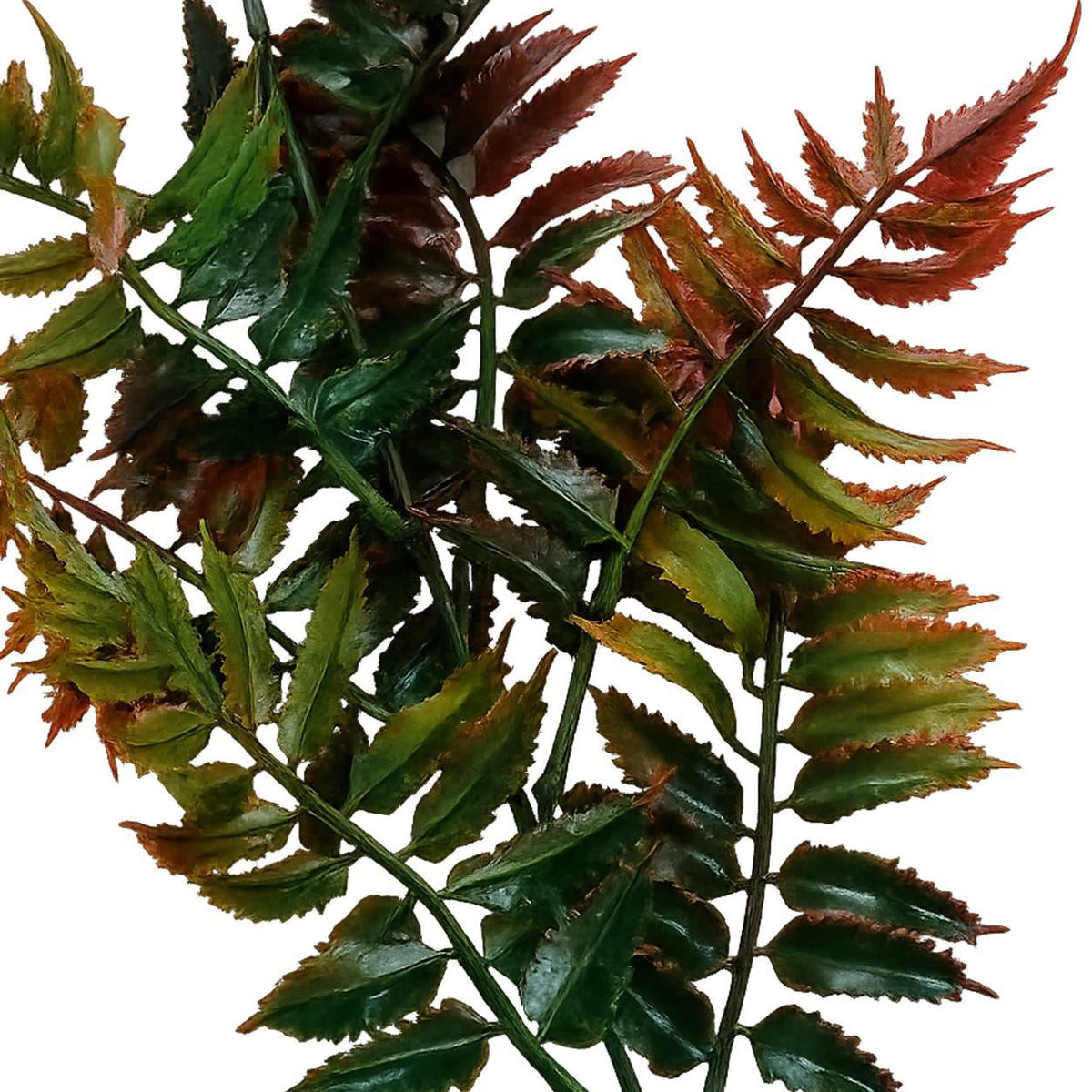 50cm Artificial Fern Spray Stem - Autumn Orange – image 10