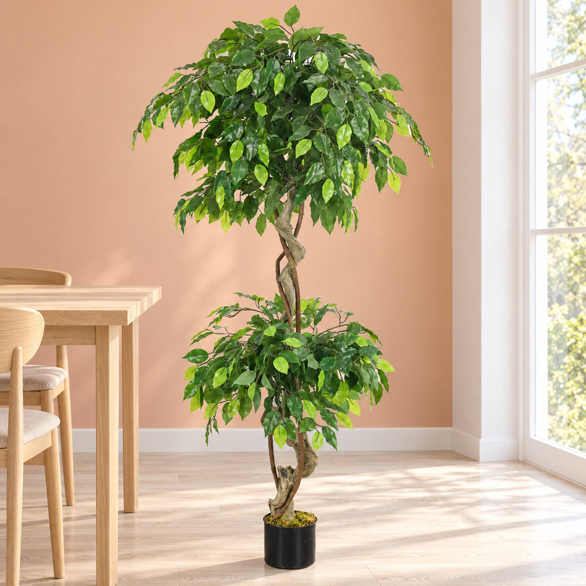 150cm Artificial Twisted Ficus Tree