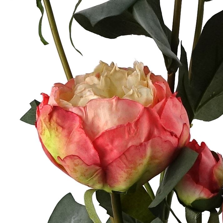55cm Peony Artificial Flower Stems - 4 flowers 3 buds – image 16