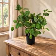 40cm Artificial Variegated Pothos Plant