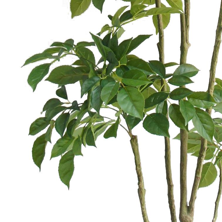 180cm Radermachera Realistic Artificial Tree – image 3
