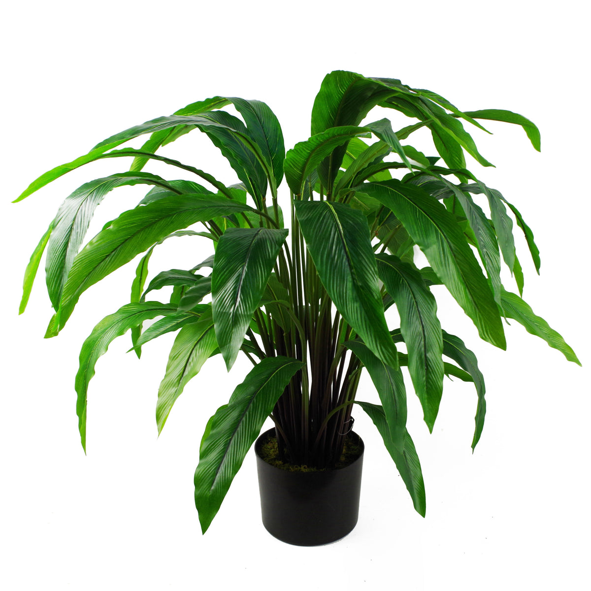 60cm Artificial Calathea Evergreen Plant