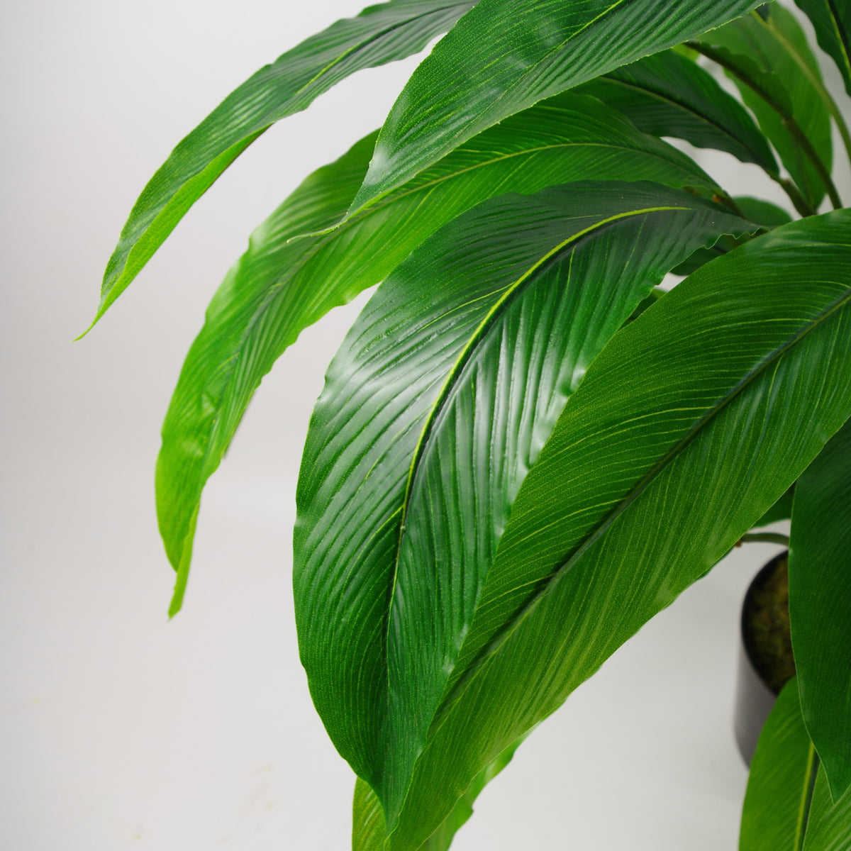 60cm Artificial Calathea Evergreen Plant – image 4