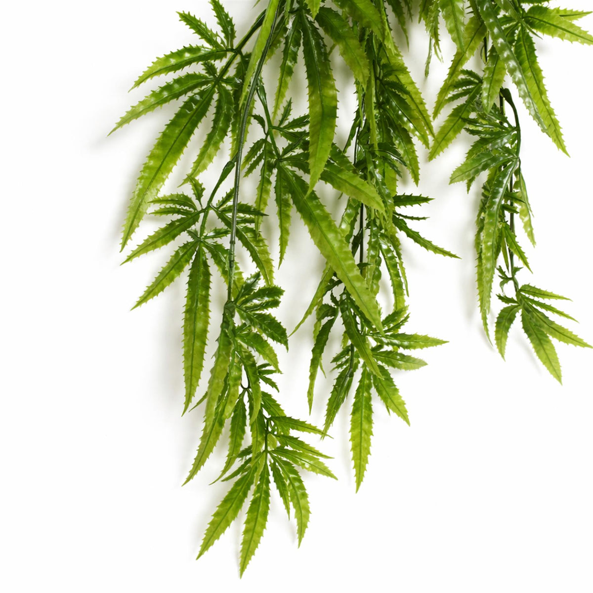 80cm Artificial Trailing Fern Leaf Plant Hanging Faux Greenery Vine – image 4