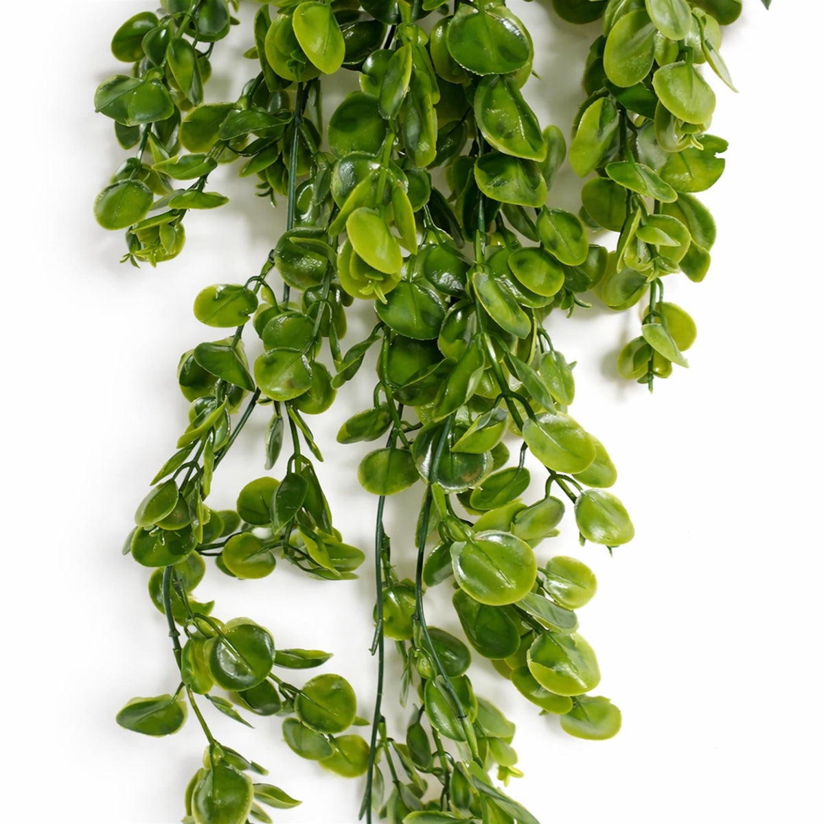 75cm Artificial Trailing Round Leaf Hanging Foliage Plant - Classic Gloss Green – image 7