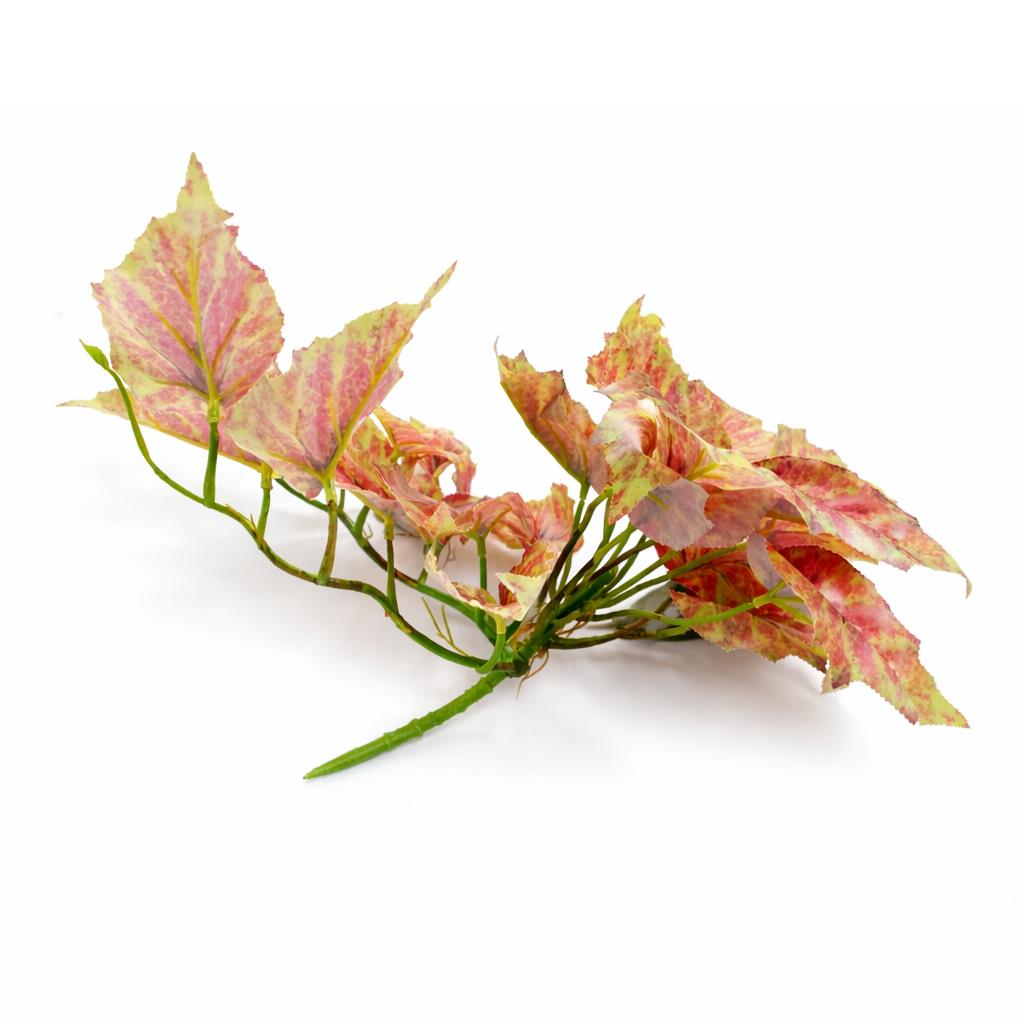 30cm Artificial Trailing Pink and Green Caladium – image 4