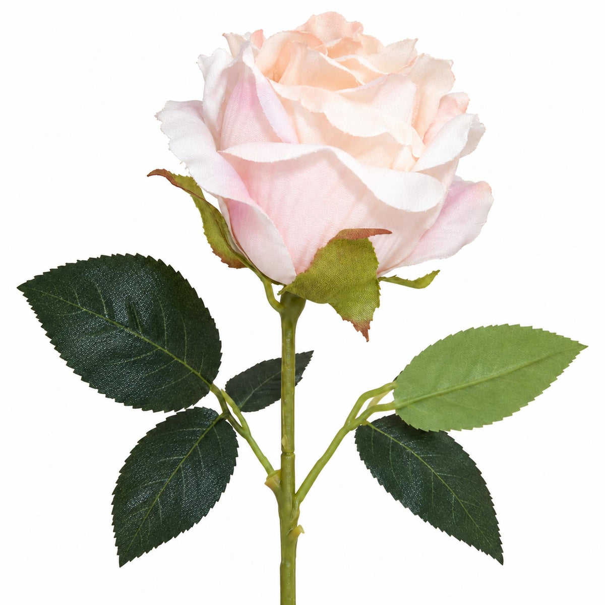 55cm Artificial Rose Stem – image 9