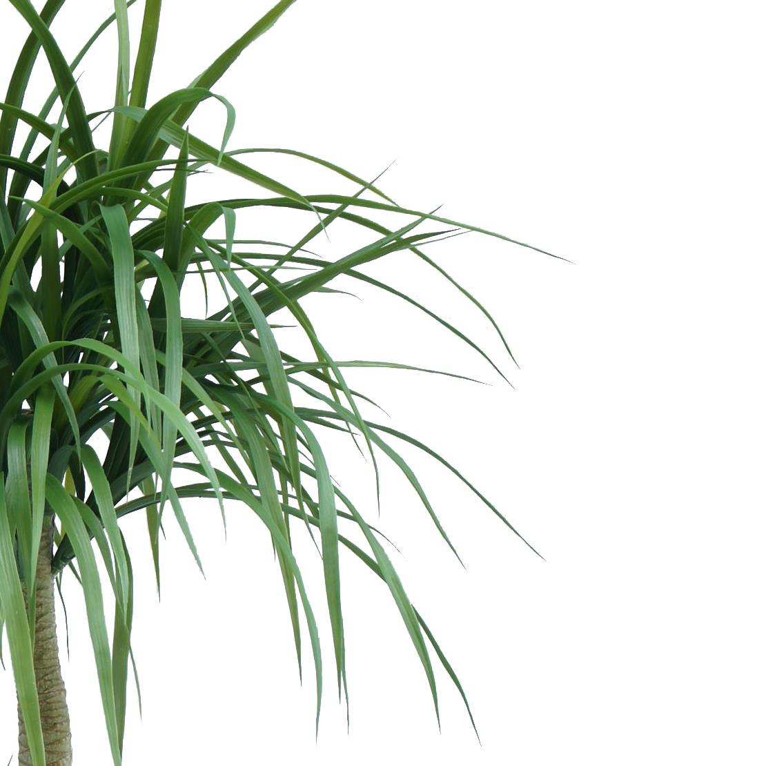 120cm Dracaena Realistic Artificial Tree – image 3