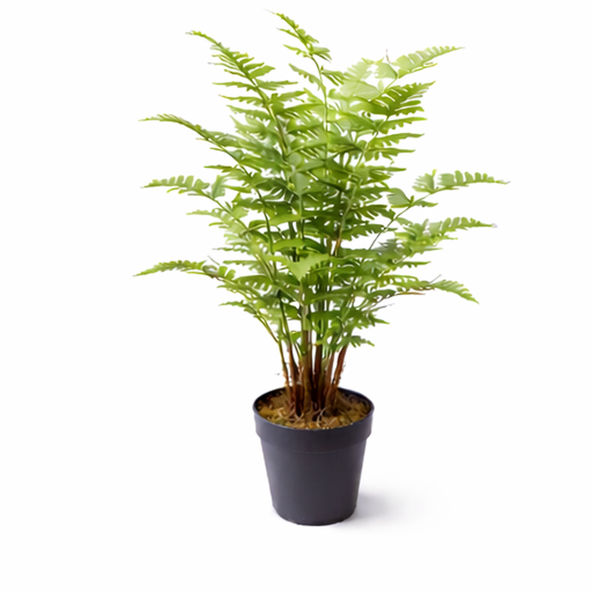 75cm Artificial Fern Plant – image 6
