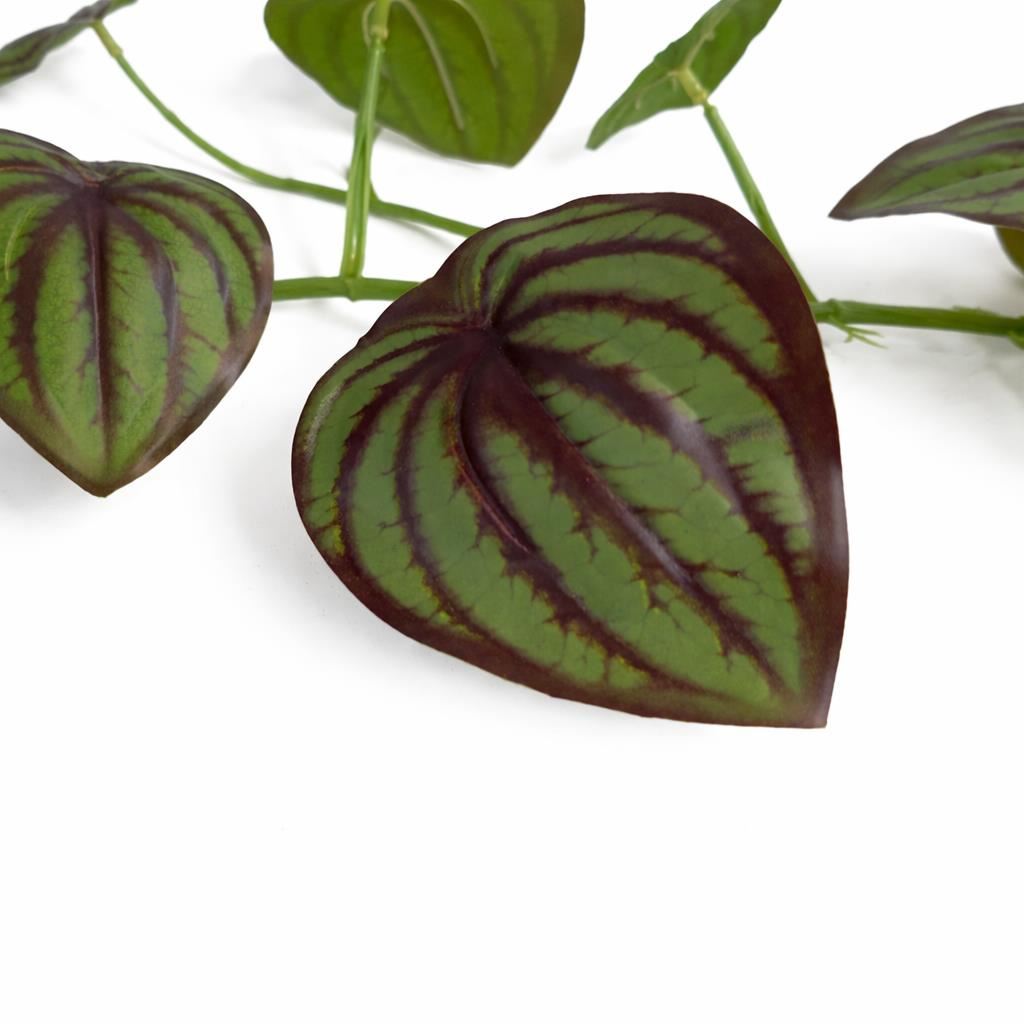 160cm Artificial Watermelon Peperomia Leaf Garland Hanging Decoration – image 8