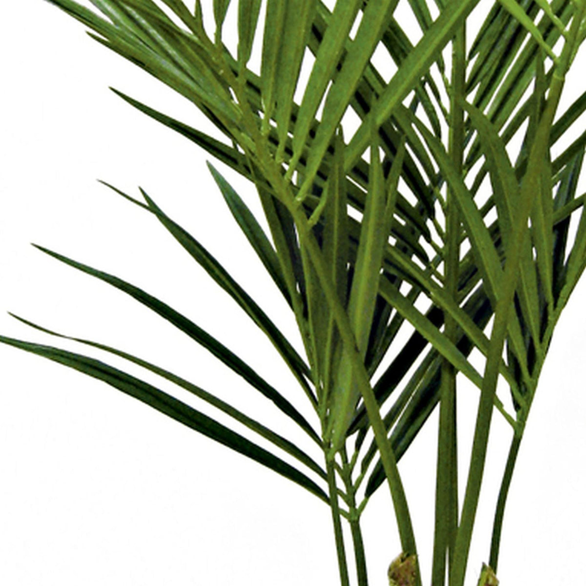 150cm Artificial Kentia Palm Tree – image 2
