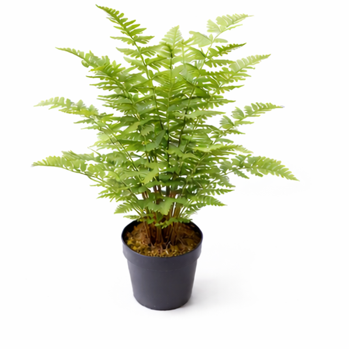 75cm Artificial Fern Plant – image 7