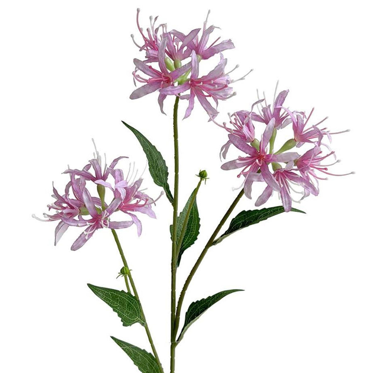 72cm Artificial Spider Lily Flower Stem