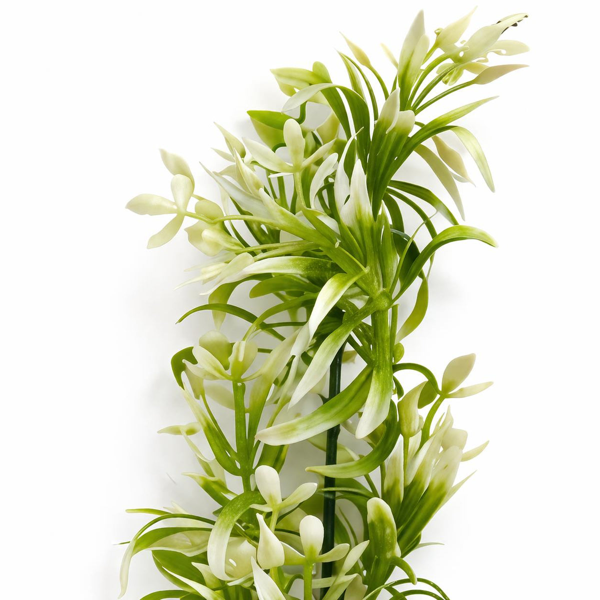 48cm Artificial White Blossom Spray Stem – image 3