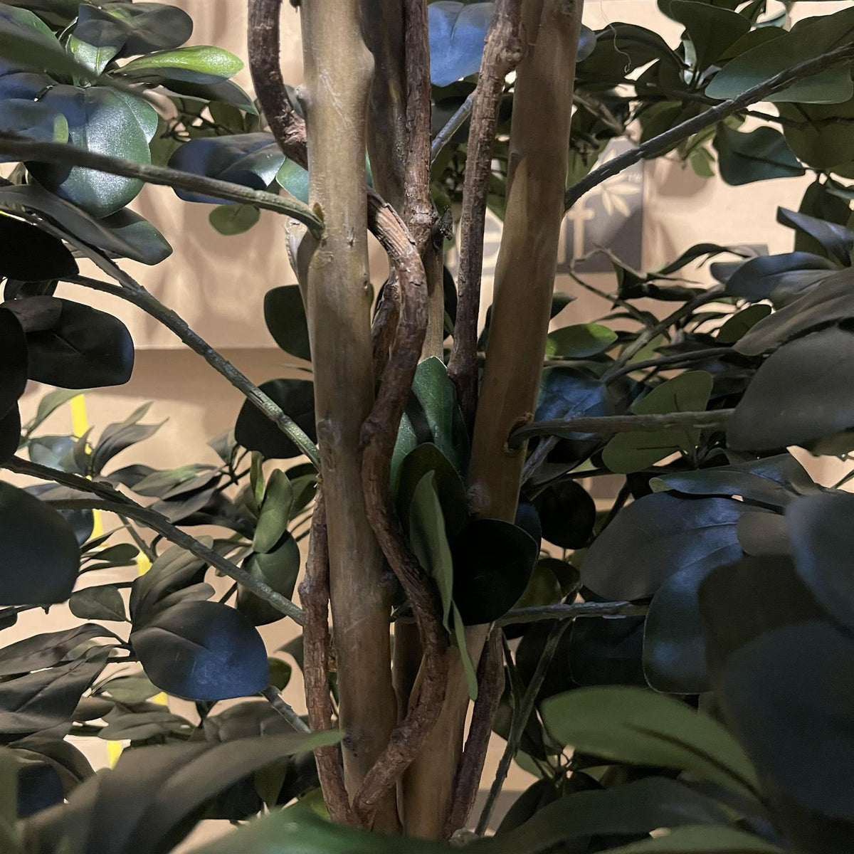 180cm Artificial Fire Retardant Black Olive Tree with 2925 Leaves and Natural Trunk – image 7