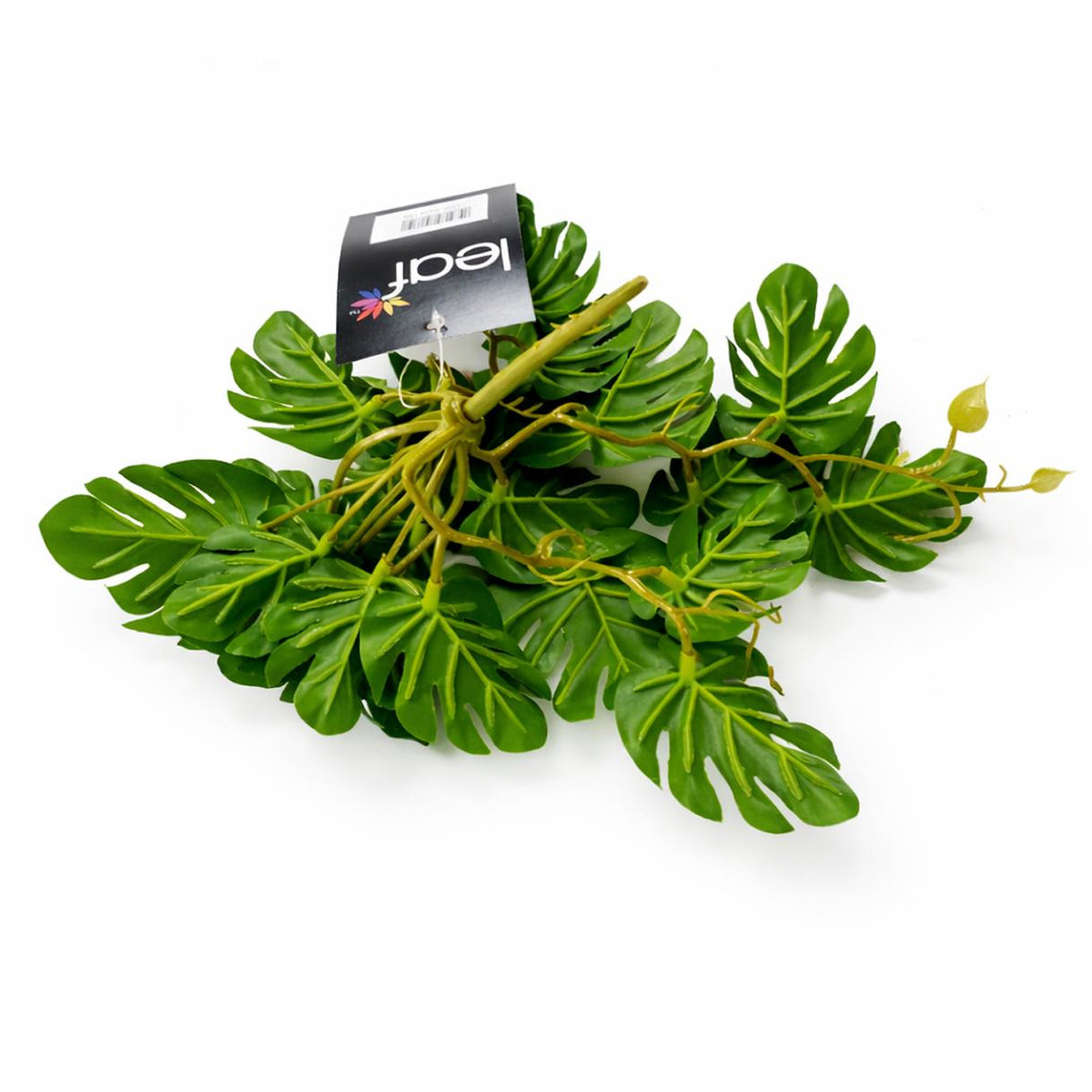 25cm Realistic Monstera Stem Plant - Dark Green